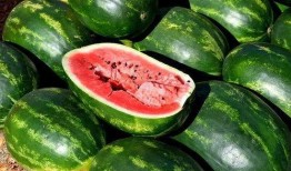 四川免费吃瓜,免费吃瓜活动来袭，清凉一夏尽享瓜果盛宴